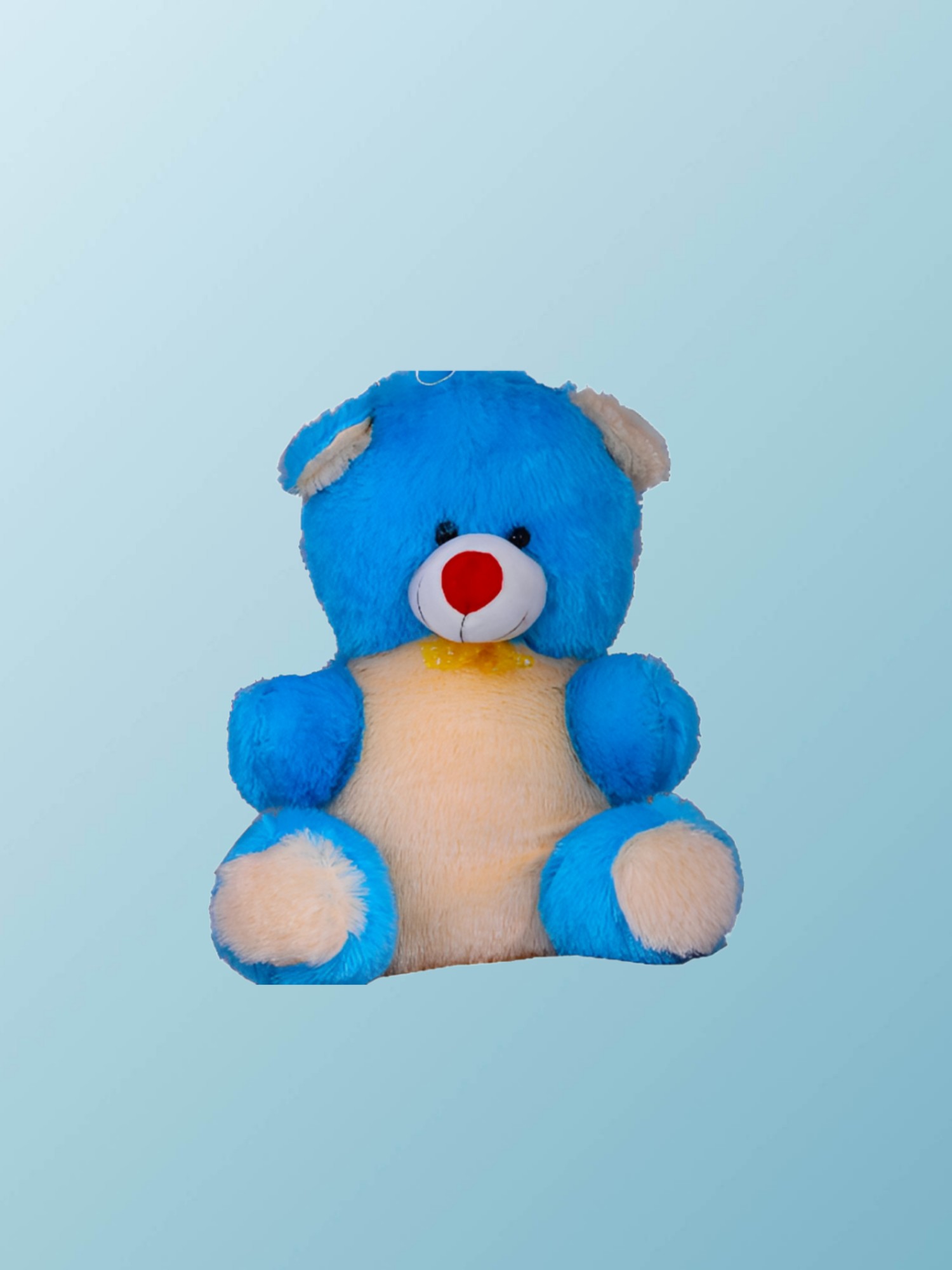 BONDA TEDDY 55CM